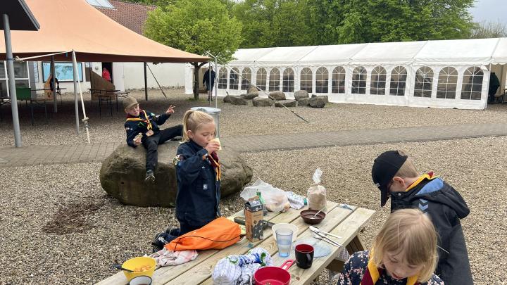 Mikrospejder der forsøger at spise morgenmad